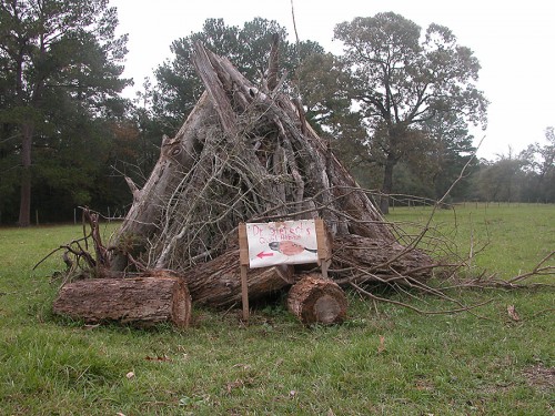 Bonfire1