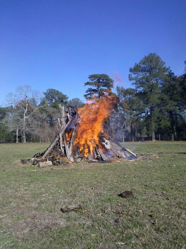 bonfire2