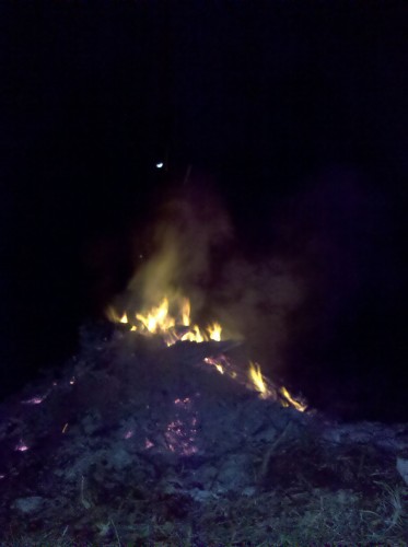 bonfire4