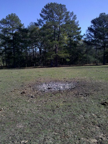 bonfire5