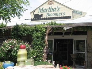 Martha's bloomers_0